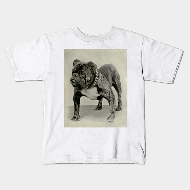 Vintage English Bulldog Photograph Kids T-Shirt by Bravuramedia